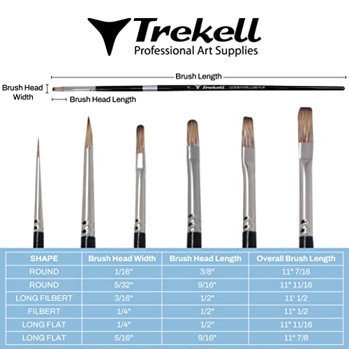 Brush measurement chart showing six brown-bristled shapes and width, bristle-length and overall-length measurements.