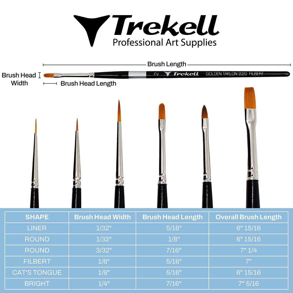 Brush dimension chart for six golden-bristled shapes with width, bristle-length and overall-length measurements.