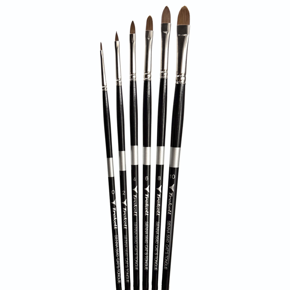 Seven pointed and oval brown-bristled brushes fanned upright in increasing sizes.