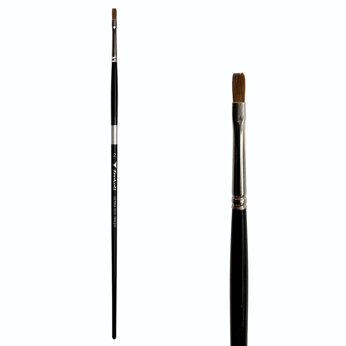 Trekell Sienna #2 Bright Brush with a long black handle, silver ferrule and close-up of its short, square-ended brown bristles.