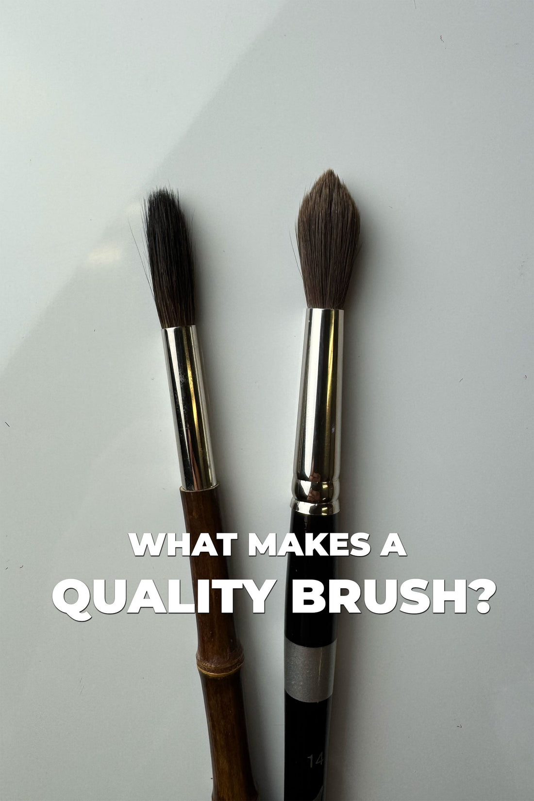 Two dark-bristled brushes above What Makes a Quality Brush? lettering.