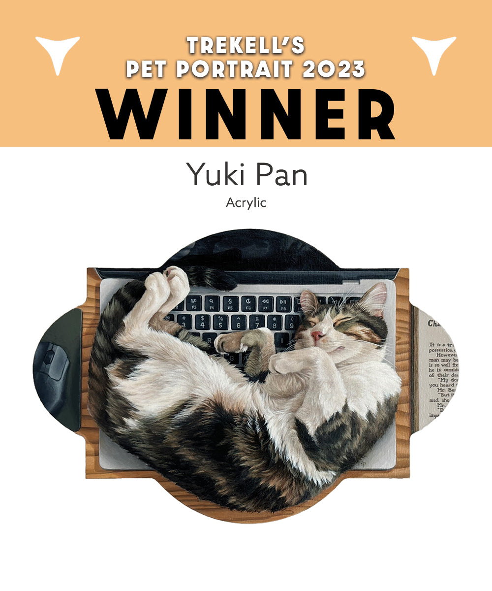 Pet portrait competition winner graphic naming Yuki Pan above two reclining cats.
