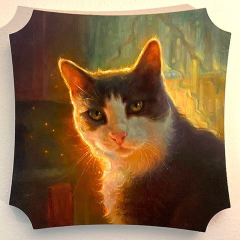 Tabby-and-white cat lit by warm golden light on a curved-edge panel.