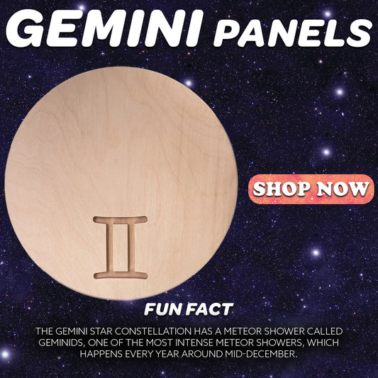 Gemini Panels graphic with a bare round panel, zodiac symbol and Shop Now text.
