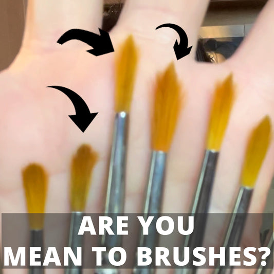 Brushes with bent bristles and black arrows; text asks Are You Mean to Brushes?