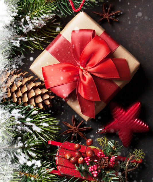 Wrapped gift with a large red bow among evergreen branches and pinecones.