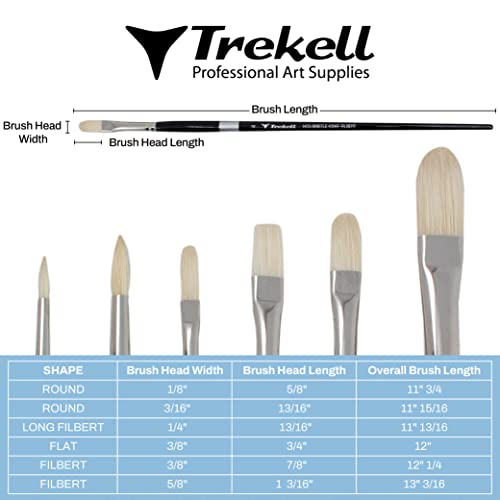 Brush dimension chart for six pale-bristled shapes, with width, bristle-length and overall-length measurements.