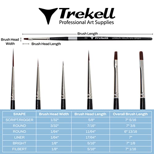 Brush dimension chart showing six pointed brushes and width, bristle-length and overall-length measurements.