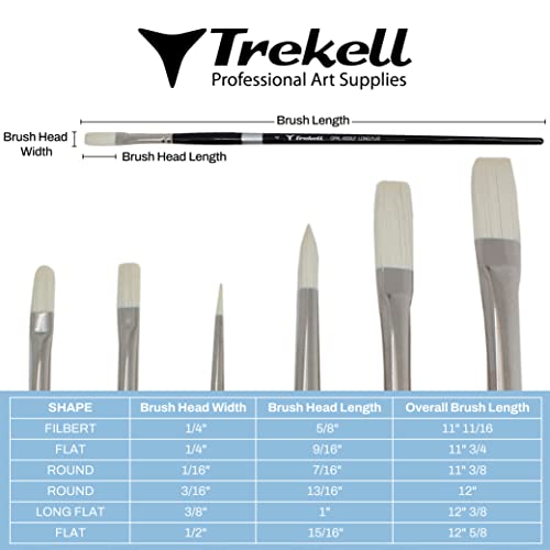 Brush dimension chart showing six pale-bristled shapes with width, bristle-length and overall-length measurements.