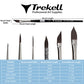 Brush dimension chart showing six pointed shapes with width, bristle-length and overall-length measurements.