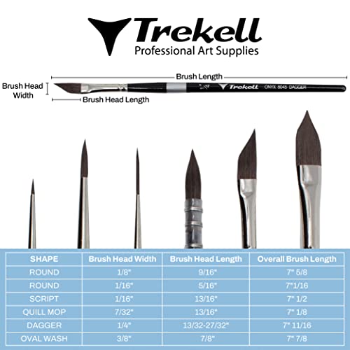 Brush dimension chart showing six pointed shapes with width, bristle-length and overall-length measurements.