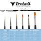 Brush dimension chart for six golden-bristled shapes with width, bristle-length and overall-length measurements.
