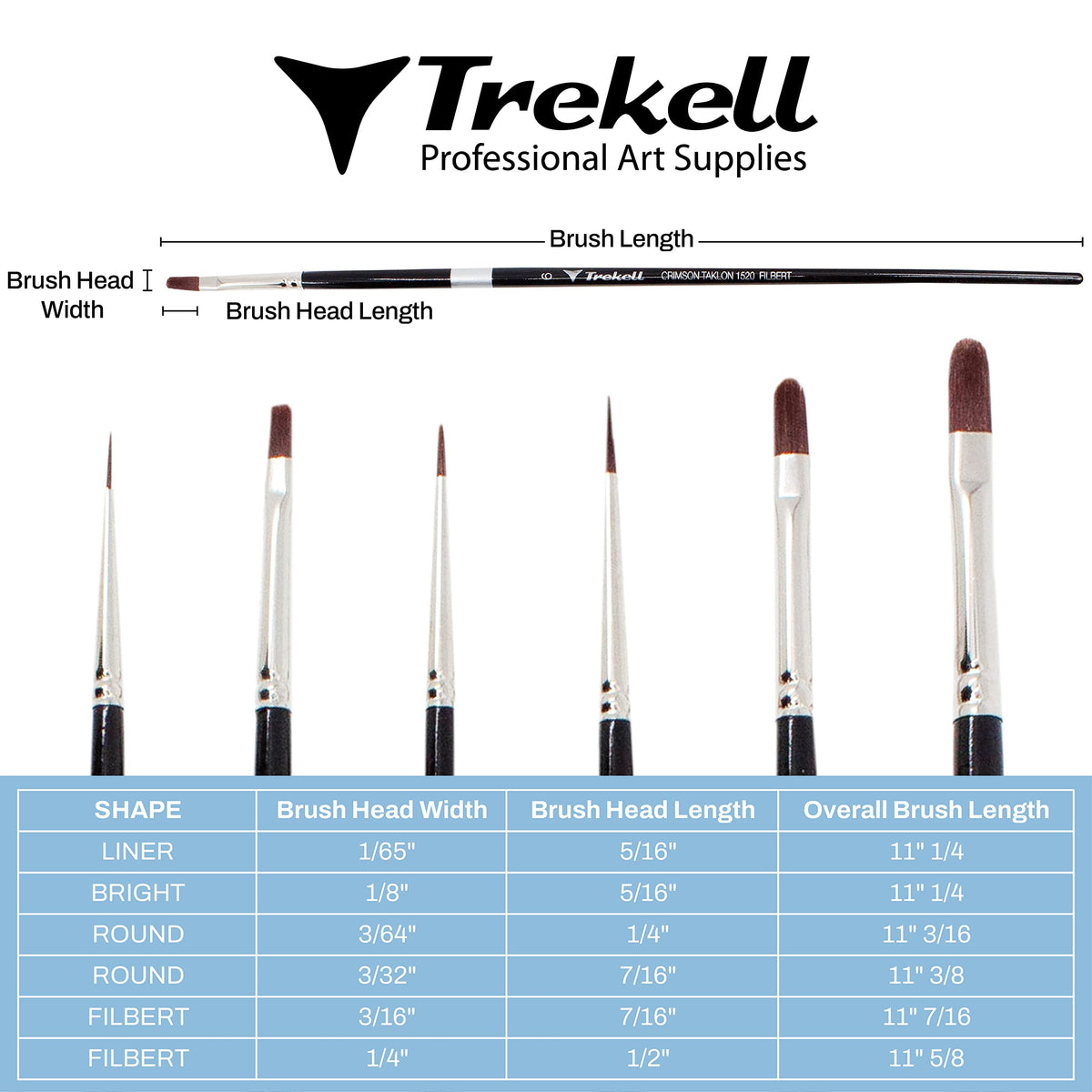 Brush dimension chart showing five burgundy-handled brushes and width, bristle-length and overall-length measurements.