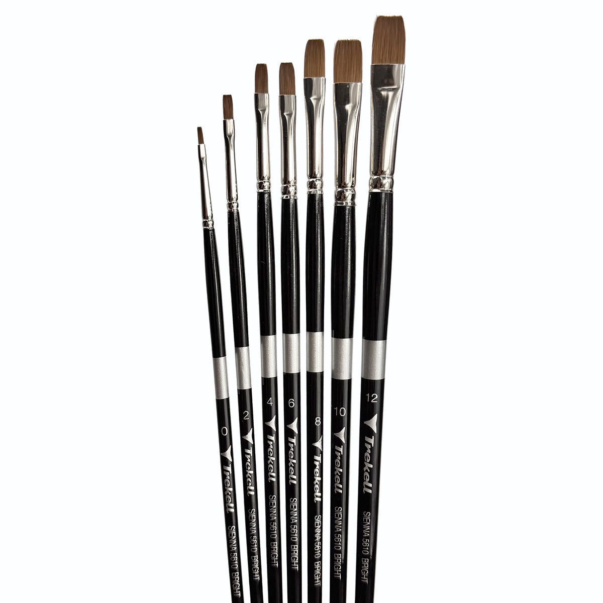 Eight flat brown-bristled brushes fanned upright from narrow to broad tips.