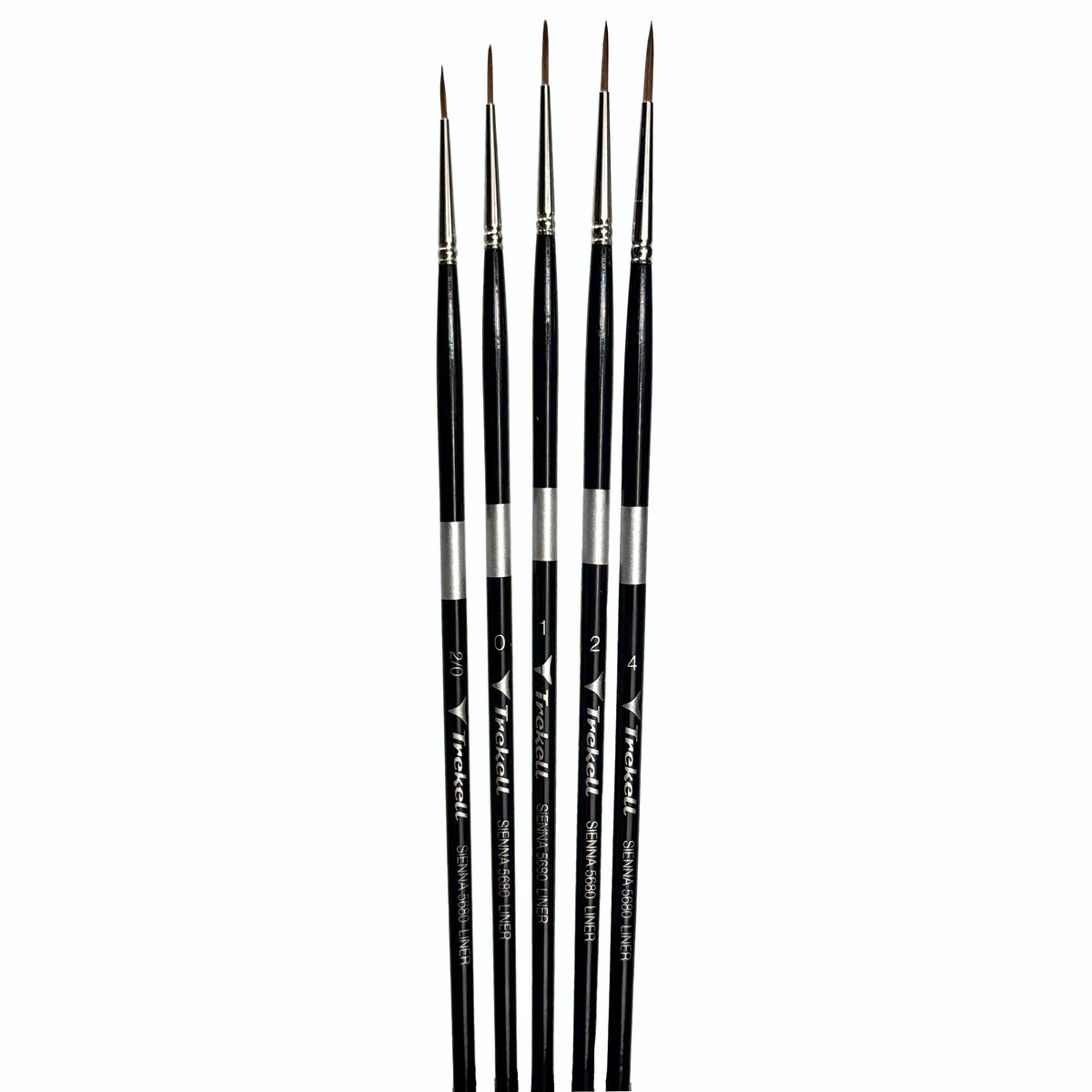 Five long fine-pointed brushes arranged upright with black handles.
