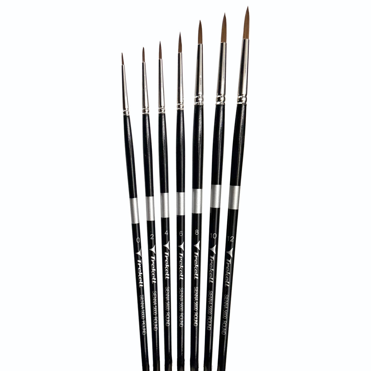 Seven slender pointed brushes fanned upright with golden bristles.