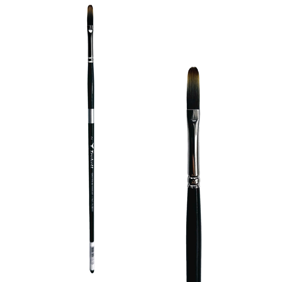 Trekell Spectrum #2 Long Filbert Brush - Long Handle, with long, flat bristles with a rounded tip.