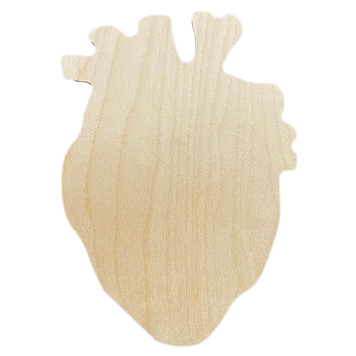 Trekell Anatomical Heart Panel, Wooden Painting Canvas