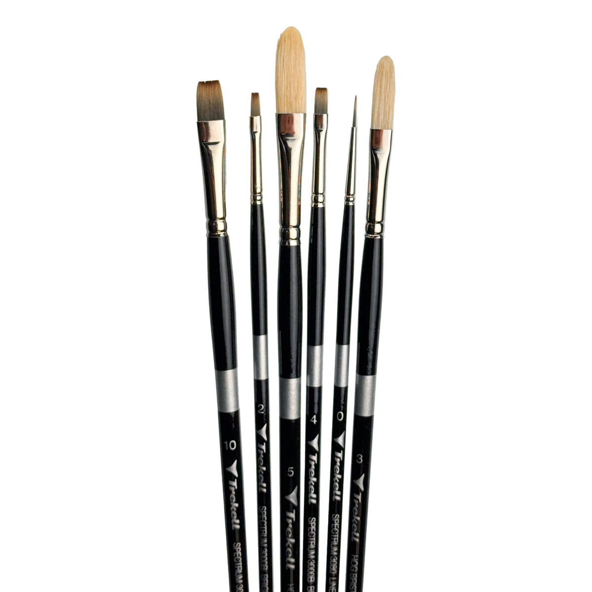 Eight black-handled brushes fanned upright, showing flat, round and filbert bristles.