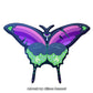 Purple, blue and lime-green moth with an eye between its wings on a swallow-tailed panel.