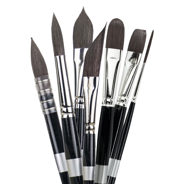 Eight black-handled brushes fanned upright with dark pointed, flat and rounded bristles.