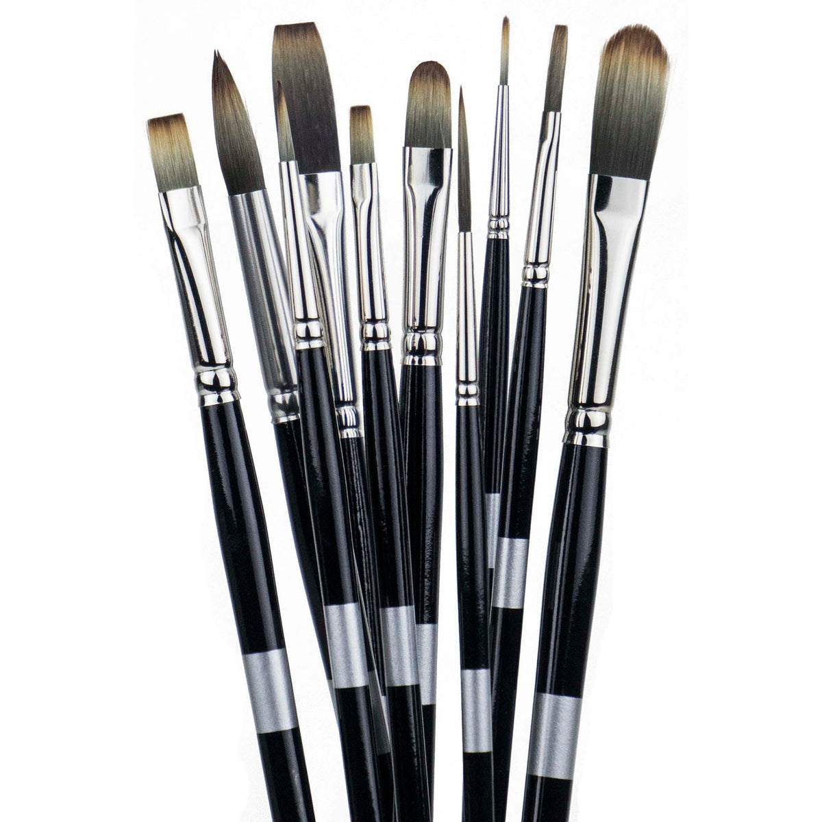 Eight black-handled brushes fanned upright with pale and brown flat and rounded bristles.