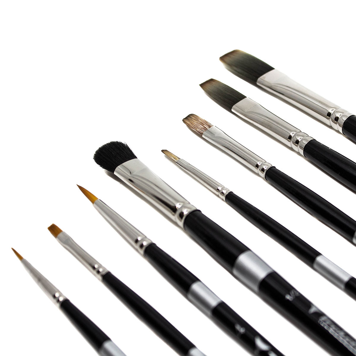 Black-handled brushes fanned diagonally with pointed, rounded and flat bristles.